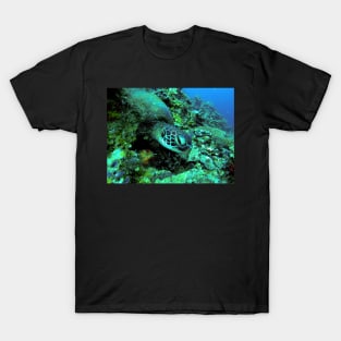 A Green Sea Turtle T-Shirt